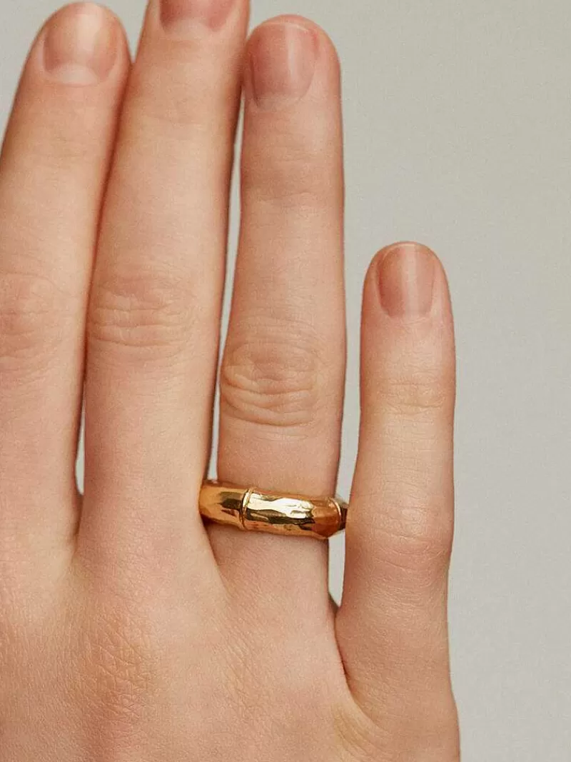 Aristocrazy Anillos De Plata-Anillo De Plata 925 Banada En Oro Amarillo De 18K Con Textura De Bambu