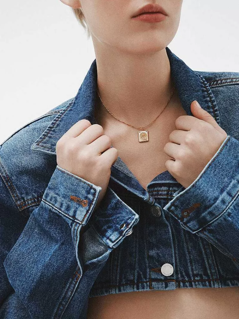 Aristocrazy Charms De Plata-Charm De Plata 925 Banada En Oro Amarillo De 18K Con Amatistas Moradas Y Esmalte Blanco